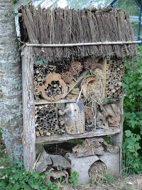 Hôtel pour insectes