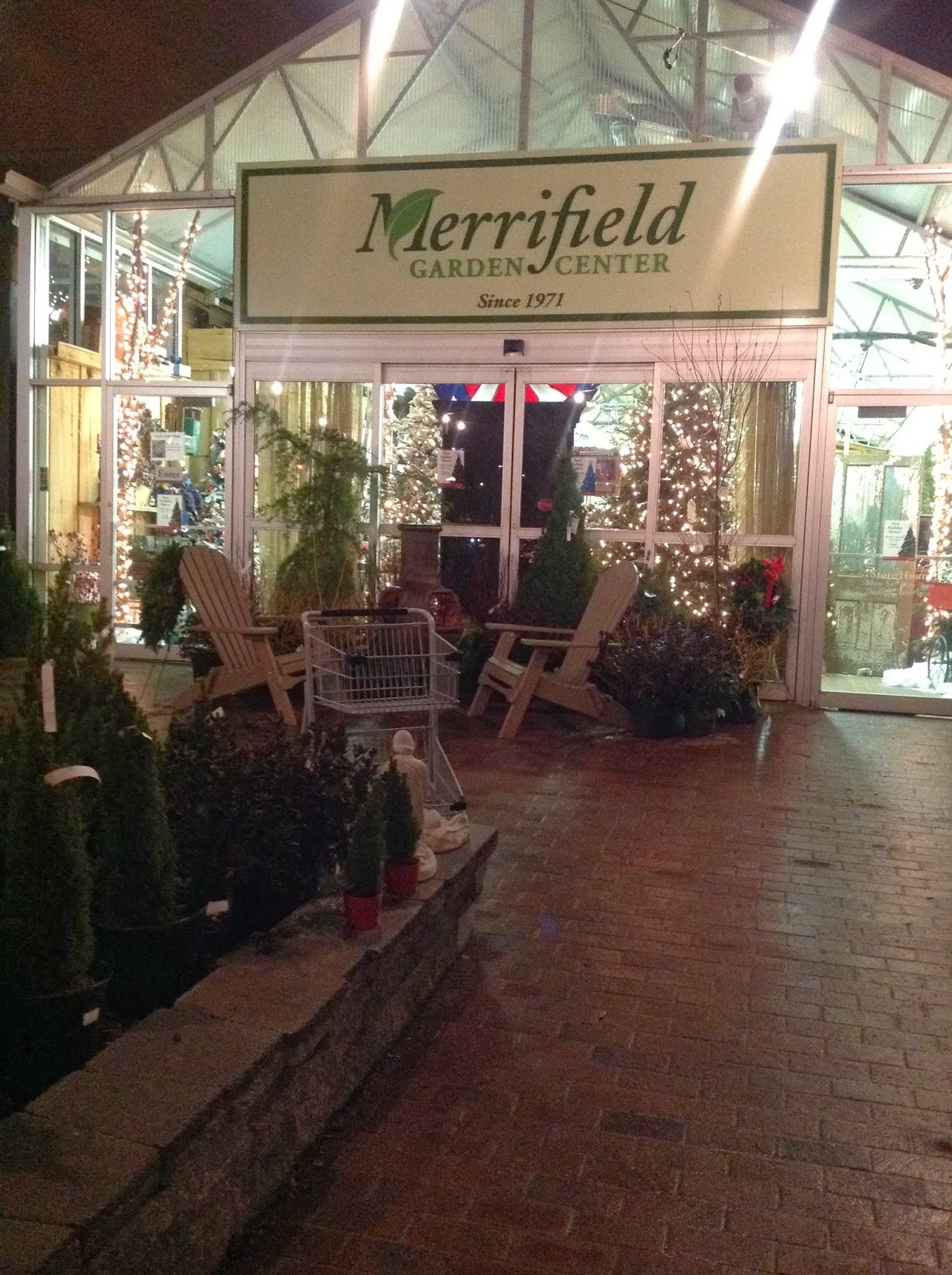 Cm Shaw Studios After Christmas Shopping Merrfield Garden Center