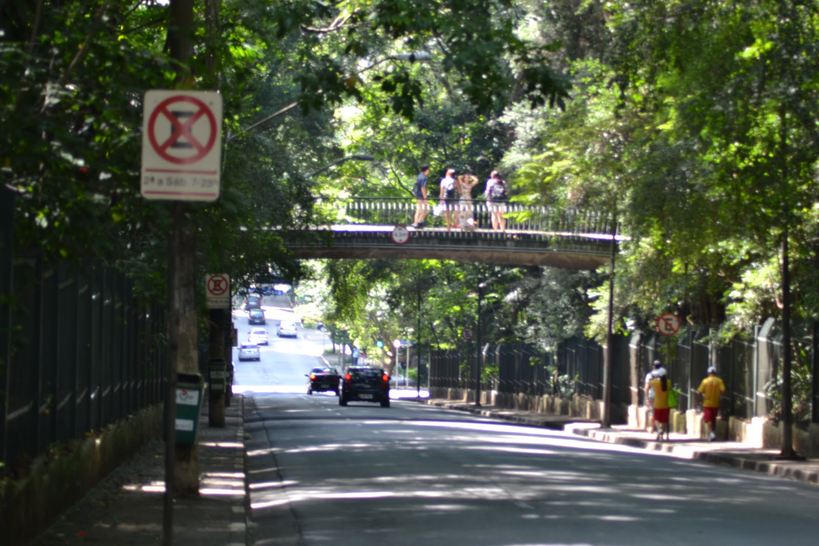 Visite Sampa Parque Trianon