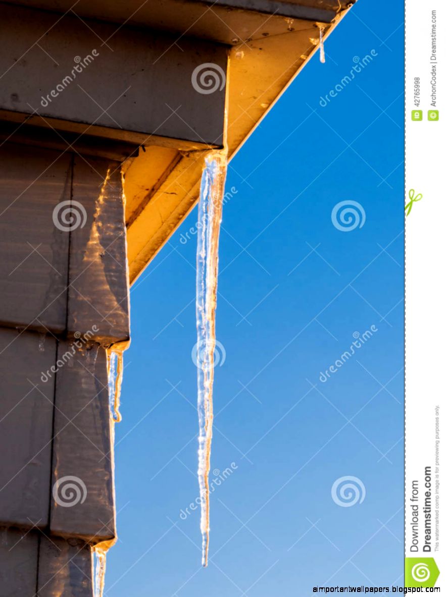 Clean Home Sky Search Results Max Cyber Clean Home Sky Search Results Max Cyber