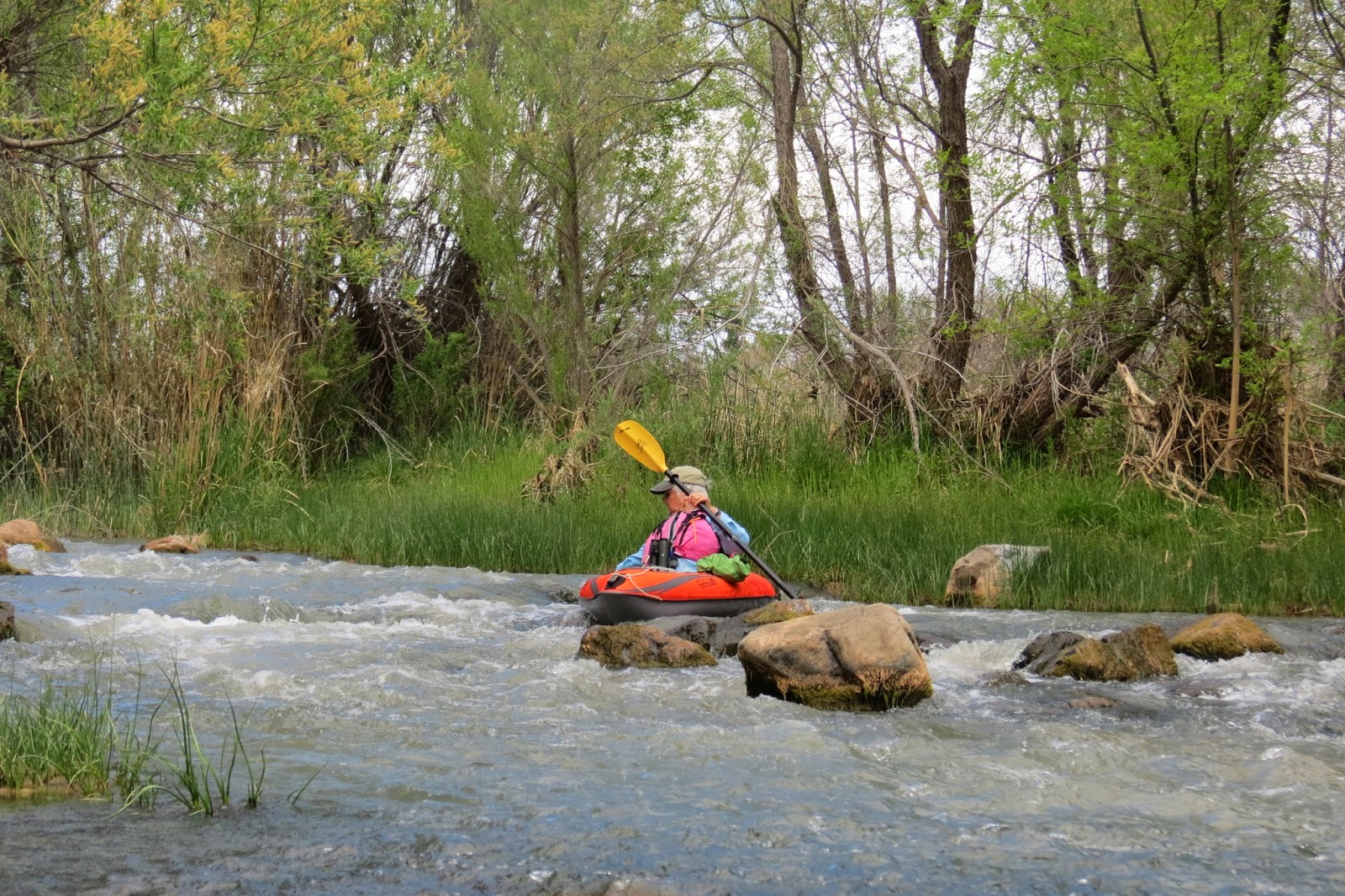 Where's Liz? 2014 Kayaking the Verde River