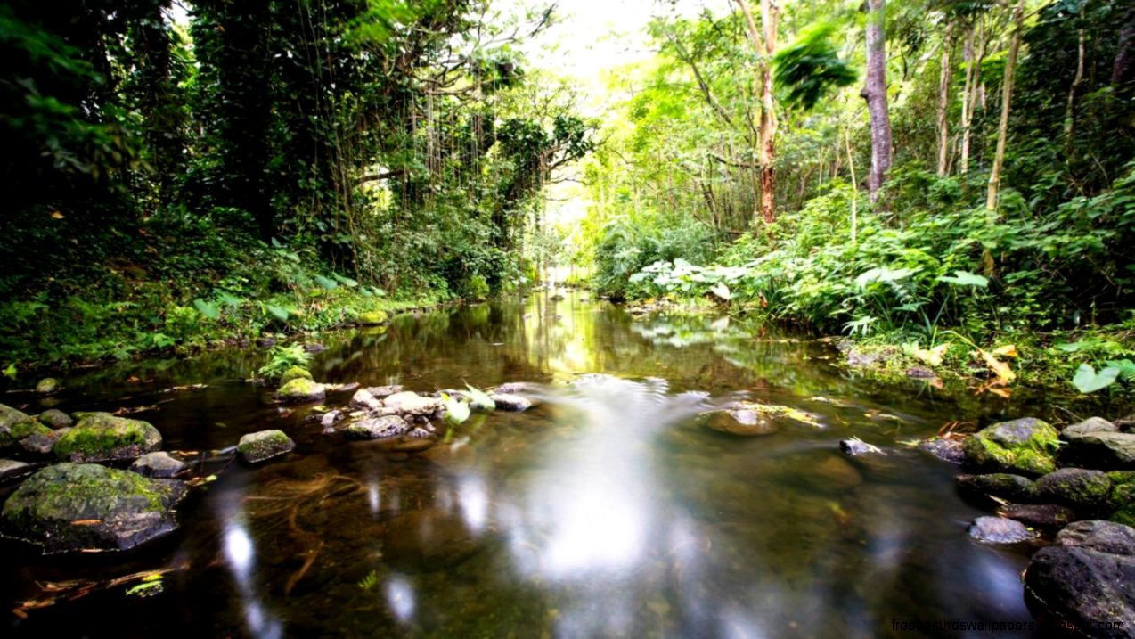 What is a small river that flows into a larger river called What is a small river that flows into a larger river called