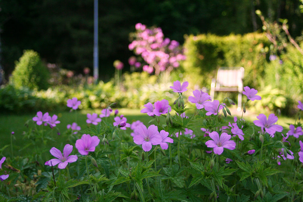 Med Fingrar Kansliga For Gront 2013