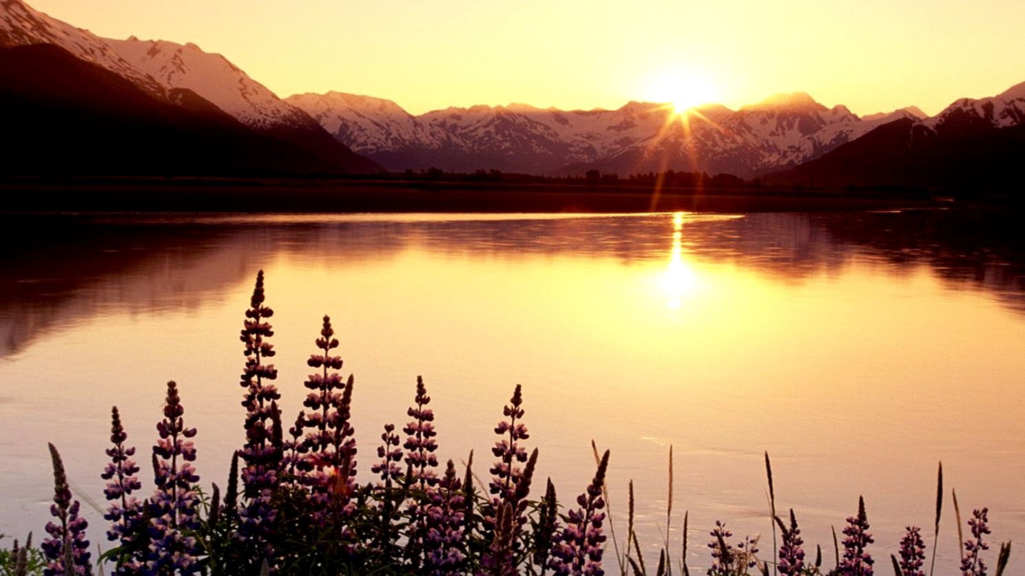peaceful scenery peaceful scenery