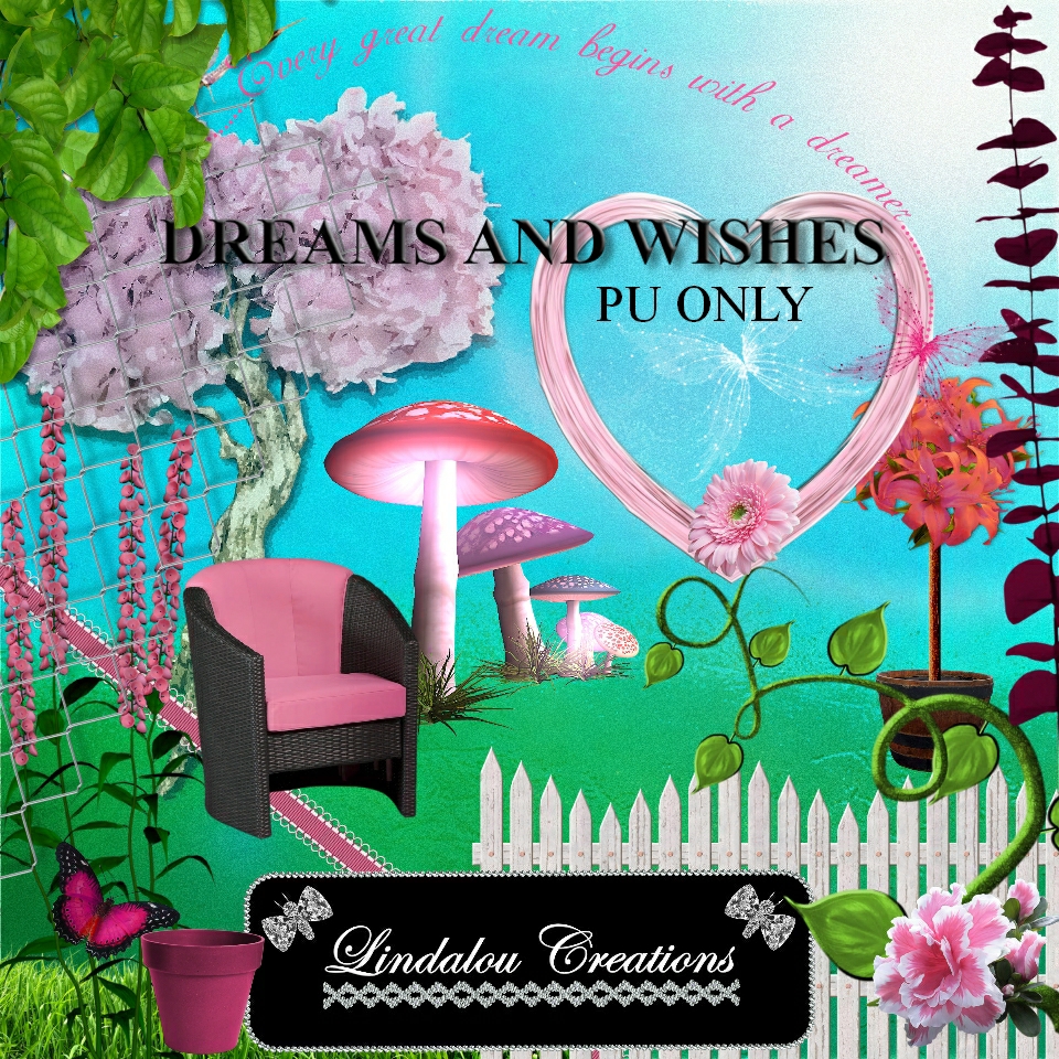 dreams and wishes dreams and wishes