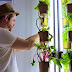 The NutriTower: Indoor Gardening Made Easy!