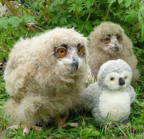 baby eagle stuffed animal