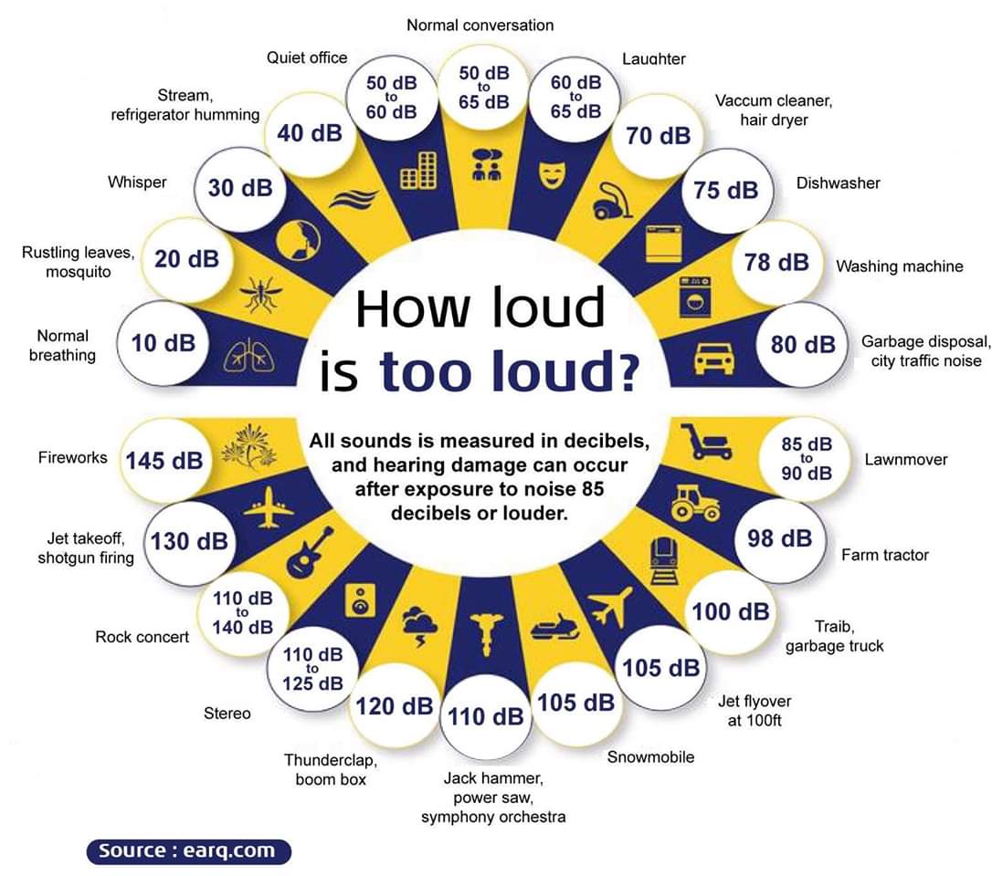 How loud is too loud Punjab Special Education Site