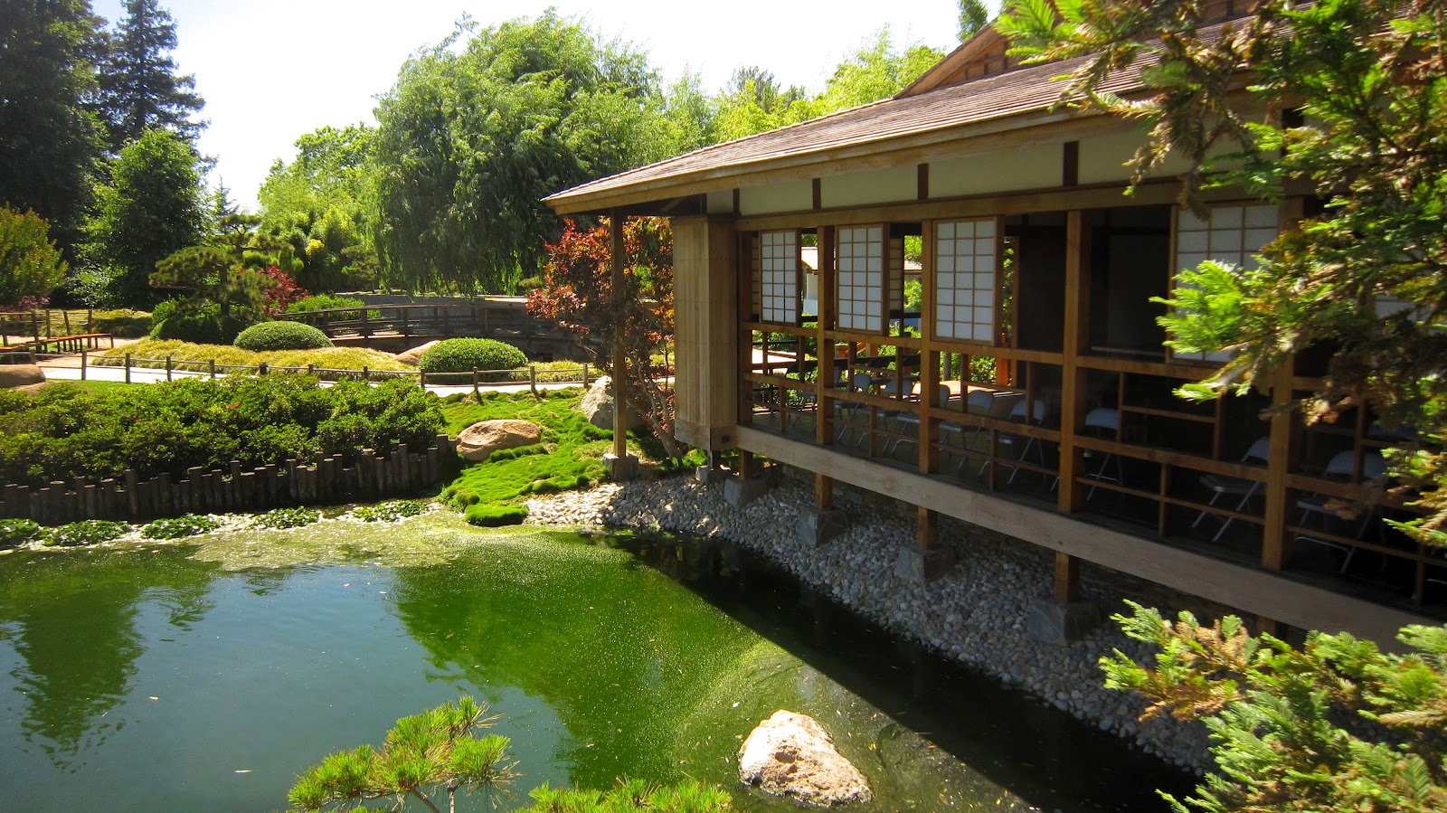 A Minute in the Life of Maria Experience & Explore The Japanese Gardens, Van Nuys, California