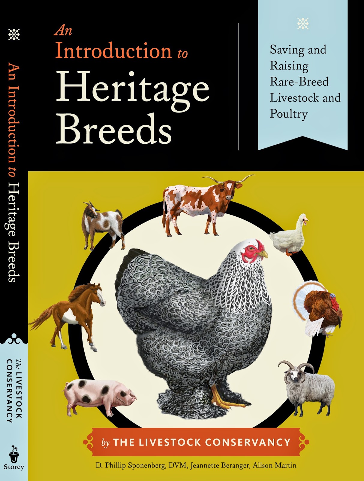 Kurious Kitty S Kurio Kabinet Raising Chickens