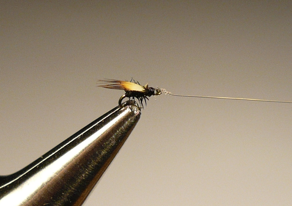 Tying and Fishing Tiny Flies Making Fishing with Tiny Flies Easier