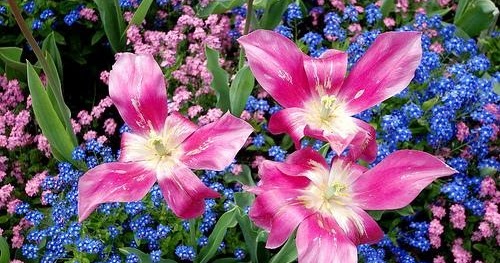 Lirik Lagu Natal Kini Tiba Saatnya Greta Sihombing Feat