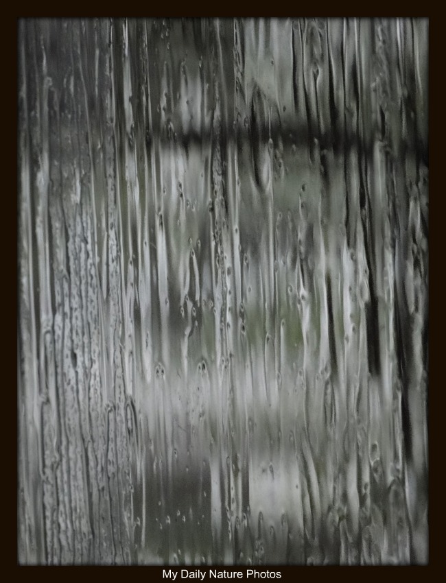 Rain Streaked Window