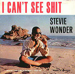 stevie+wonder+cant+see+shit.jpg