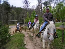 Unguided horse rides in the Smokies