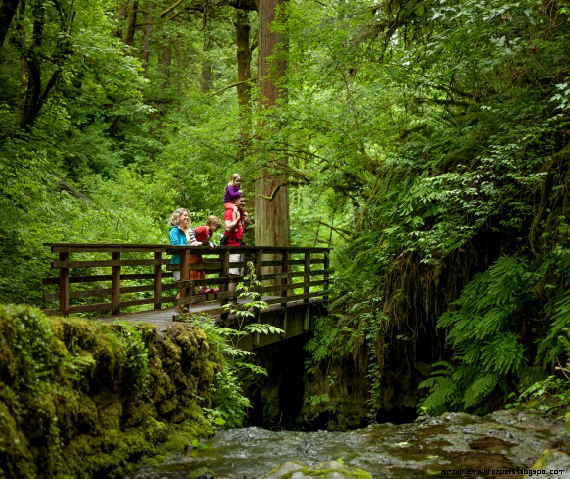 Favorite hiking spots Travel Portland Favorite hiking spots Travel Portland