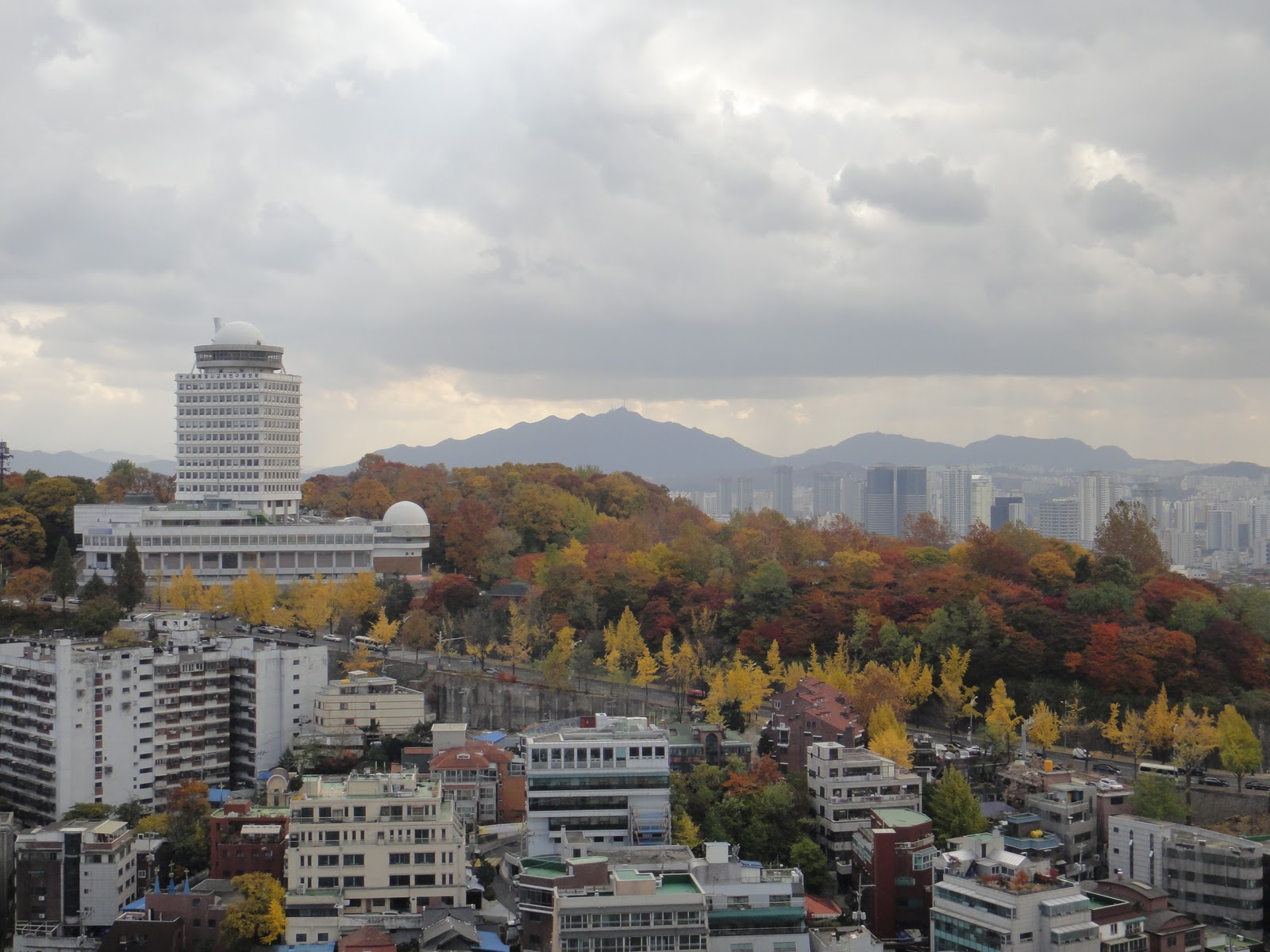 Good Things Things To Love About Korea 2 Seasons