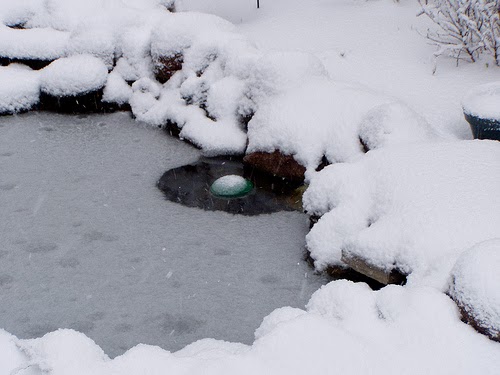 koi-pond-electric-heater-image4