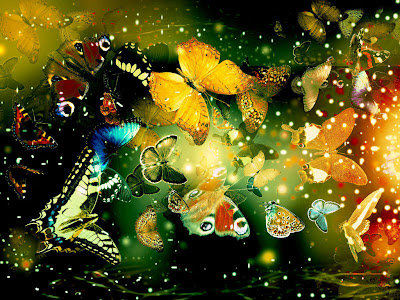 Butterfly Wallpaper