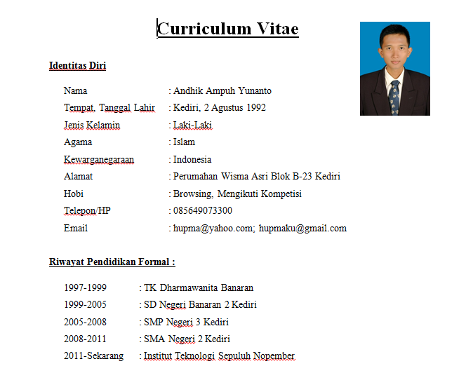 Best Resume Format Usa