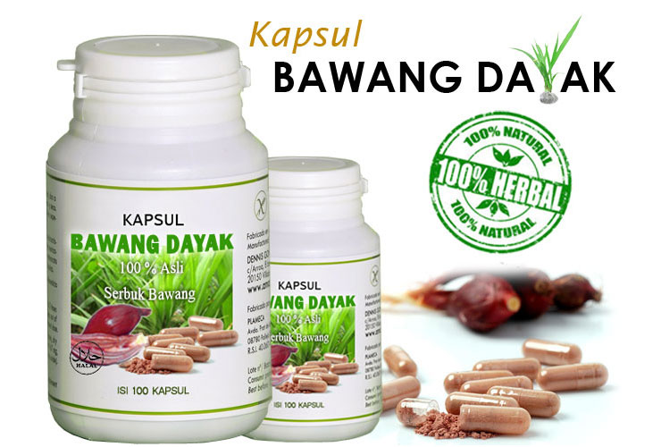 BAWANG DAYAK | Obat Herbal Berbagi Macam Penyakit