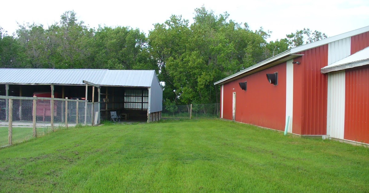 buffalo creek kennels Kennels