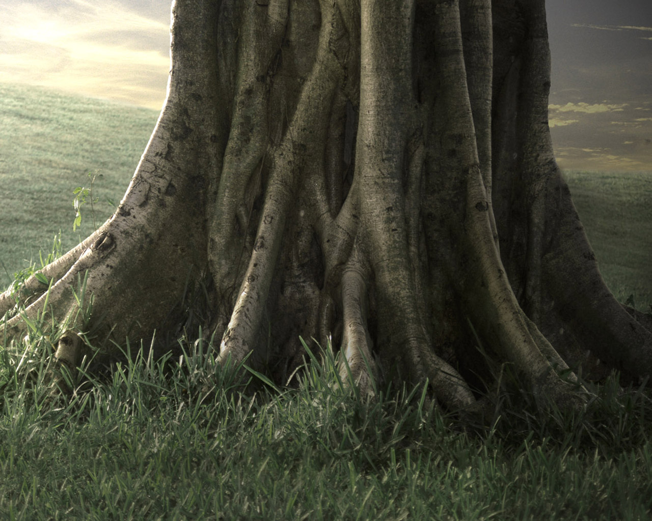 Another PorchA Poetry Blog: December 2011