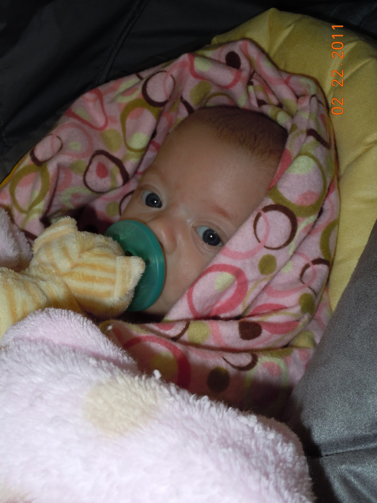 Baby Claire's Blog Hair Tourniquets and Preop Appointments