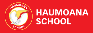 Haumoana School