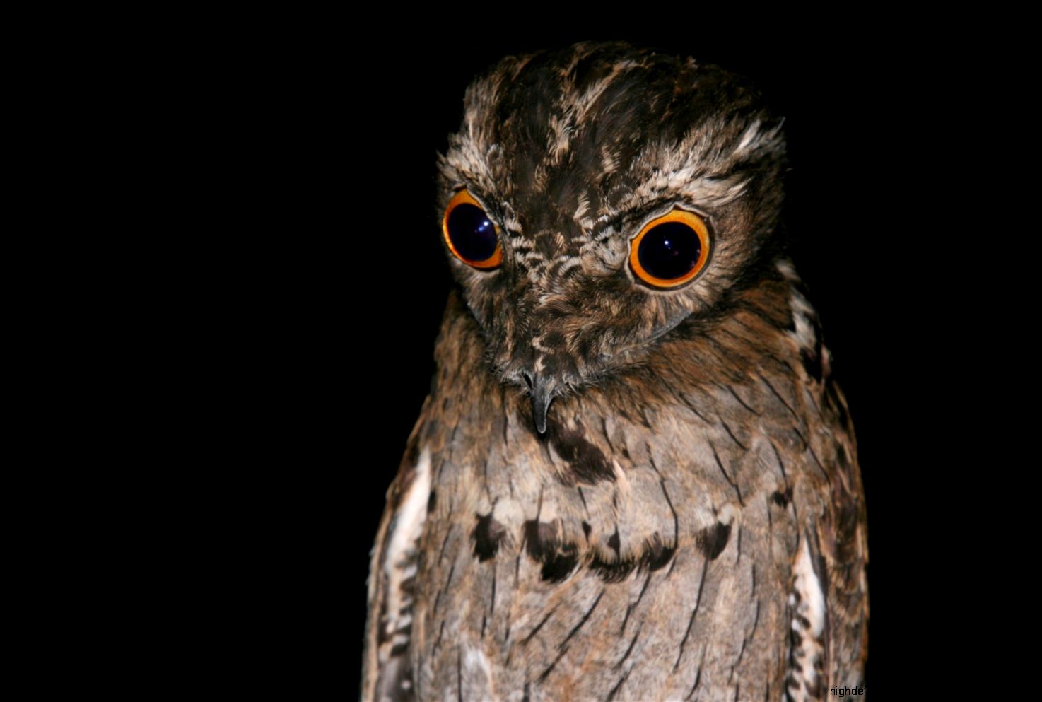 Page 38 › Free Download High Definition Wallpapers For Desktop and Page 38 › Free Download High Definition Wallpapers For Desktop and