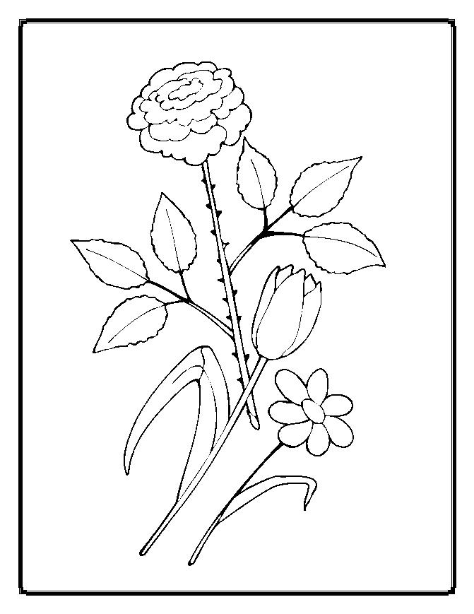 Coloring Pages Worksheets: Simple Flower Coloring Pages for Kids