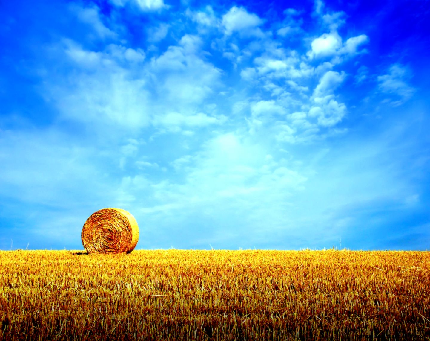 Summer Hay Field Desktop Summer Hay Field Desktop