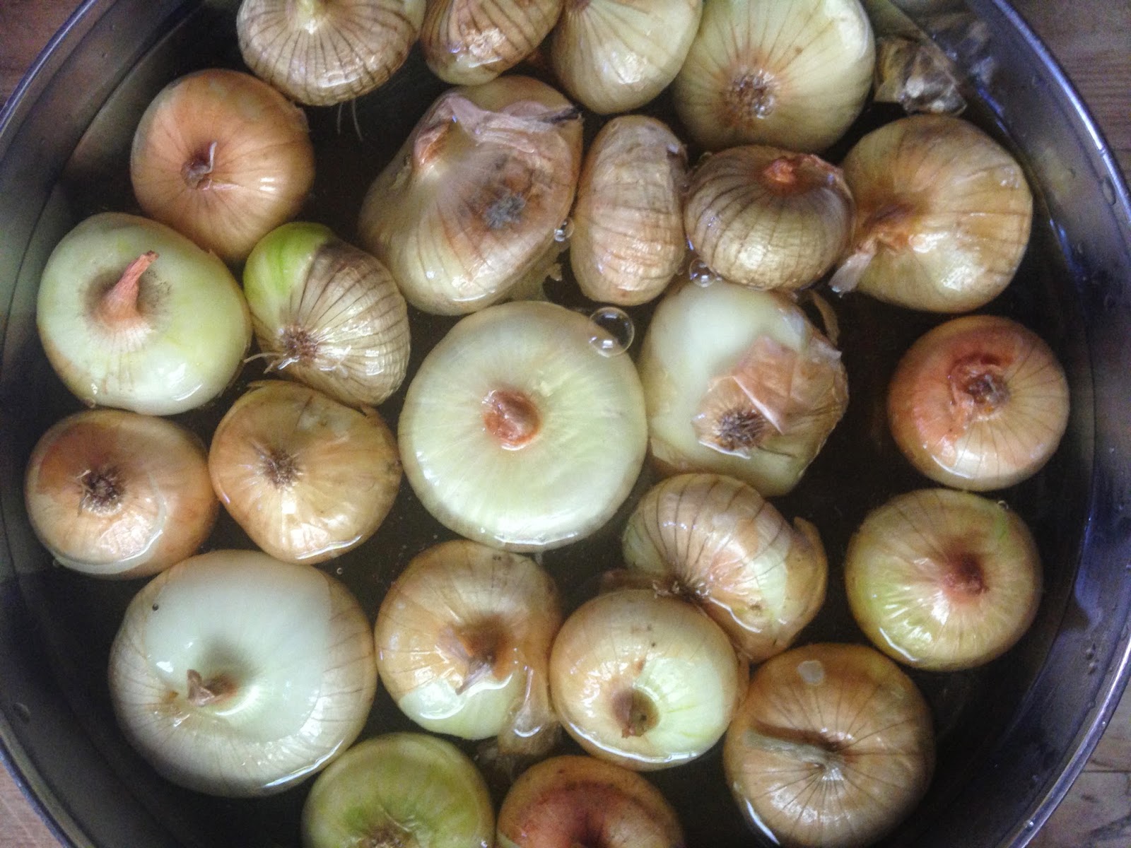 salt & zest Balsamic Butter Roasted Cipollini Onions