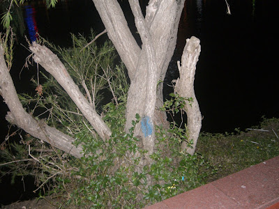 Cảnh này ở đâu ? - 18