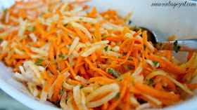 Carrot and Jicama Salad with Lime Vinaigrette with Diane's Vintage Zest!