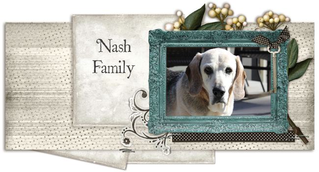                      Nash Family