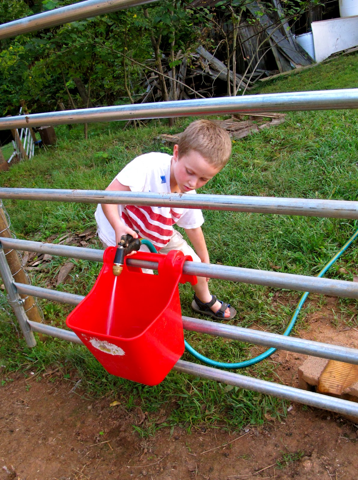 Farm Chores and their Purpose The Free Range Life