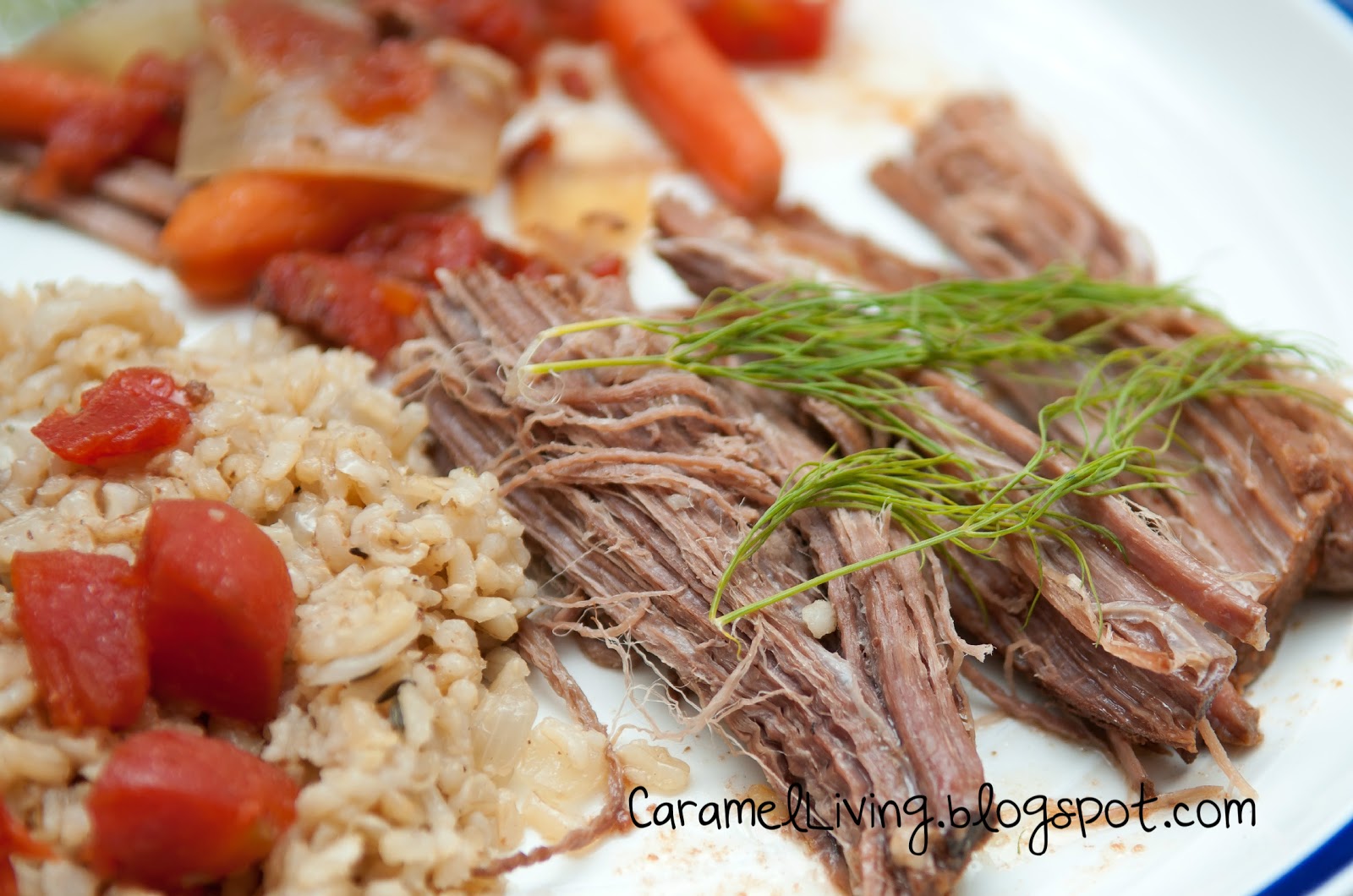 Caramel Living Tomato Dill Pot Roast
