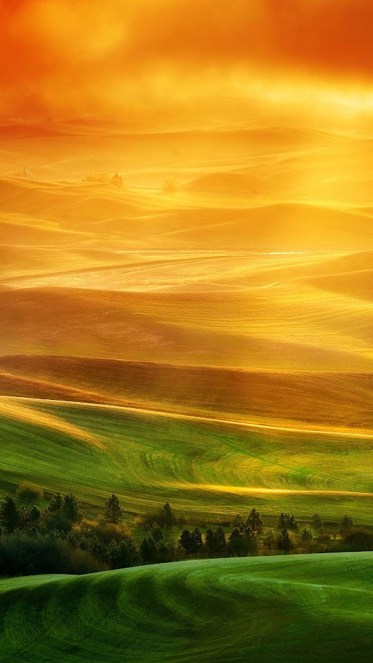 HTC One X Full HD Green Fields Sunset Android Wallpaper