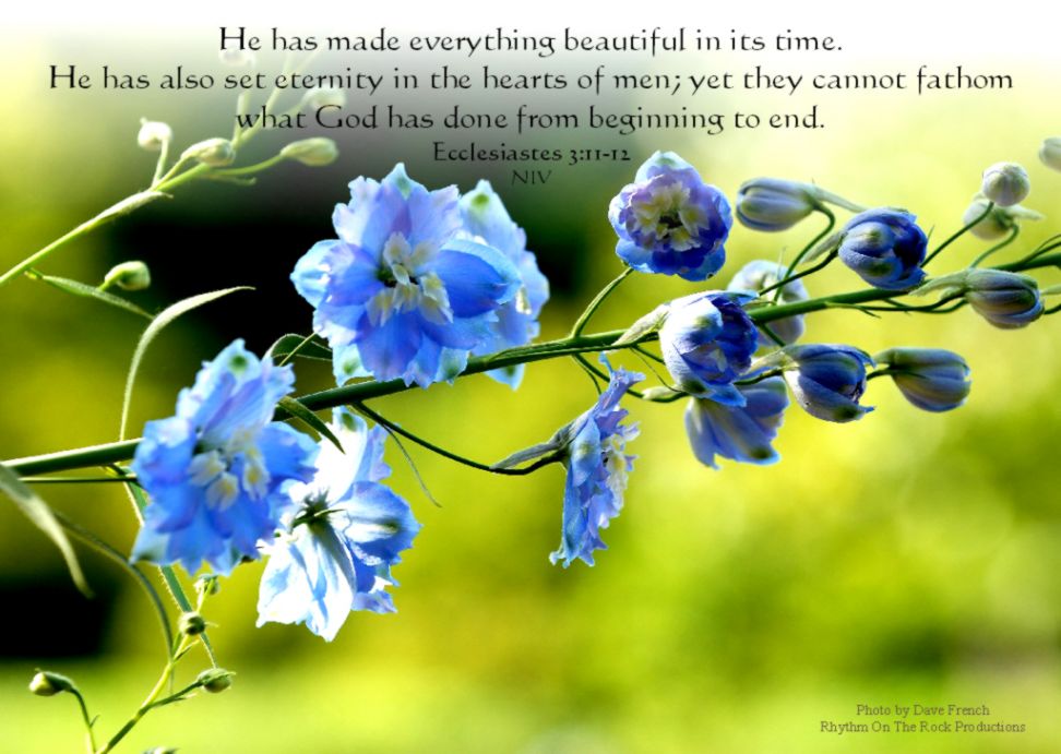 Spring Wallpaper With Bible Verses | Image Wallpapers HD