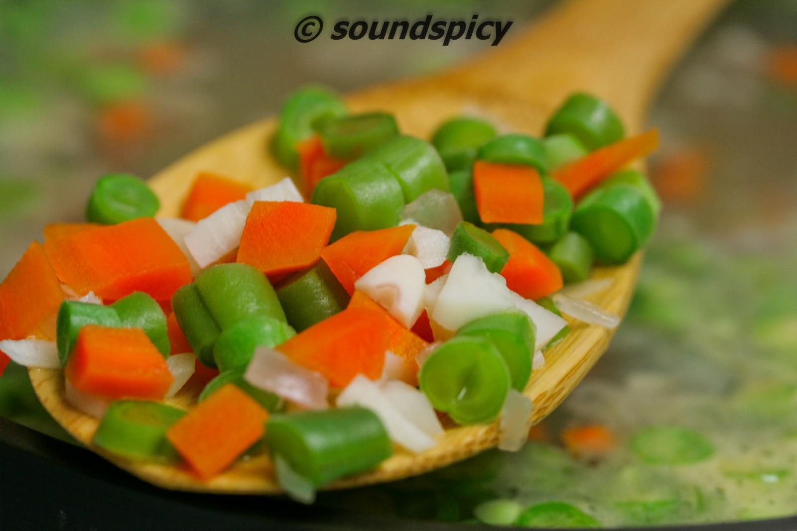 Vegetable Soup Sound'spicy