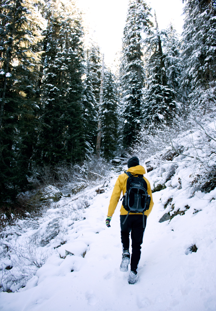 eastfly A Snowy Hike