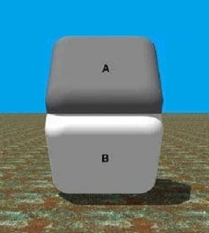 grey square illusion