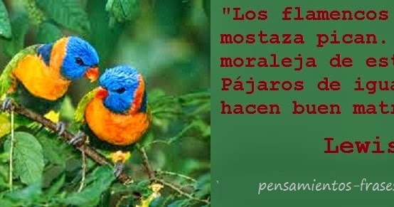 Featured image of post Lewis Carroll Frases