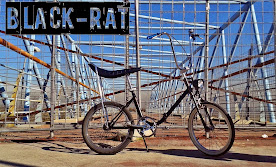 BLACK RAT