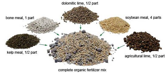 phosphorus in fertilizer