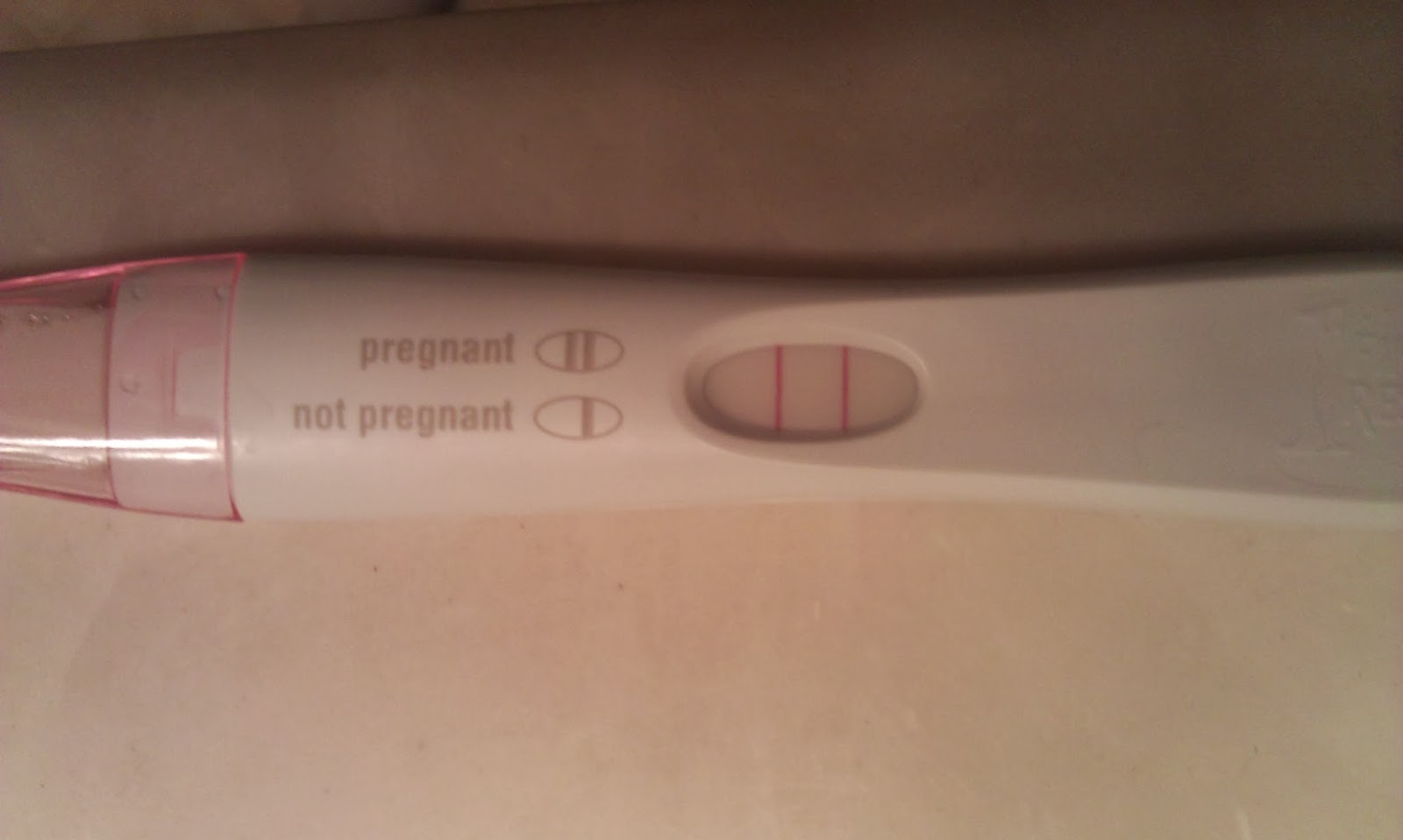 how does a pregnancy test work to show a positive result gcse