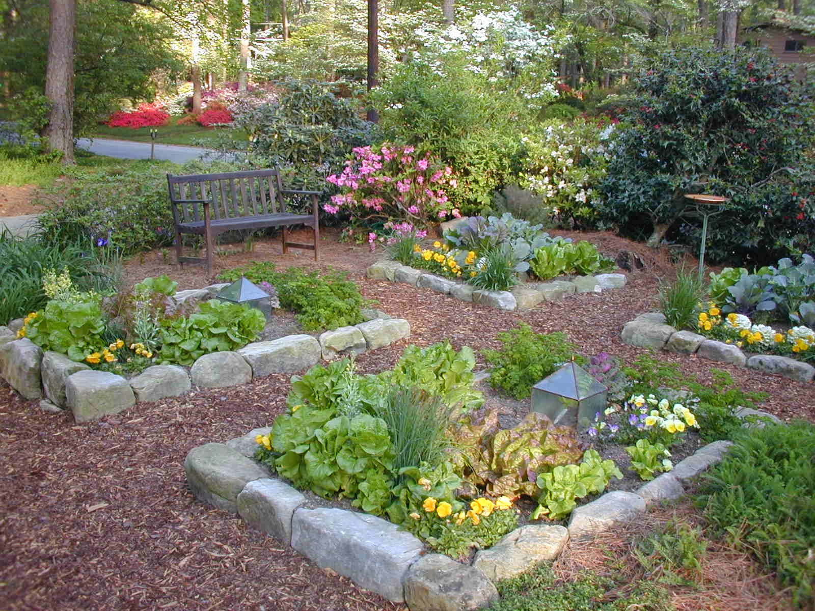 Planting Ideas Garden Design