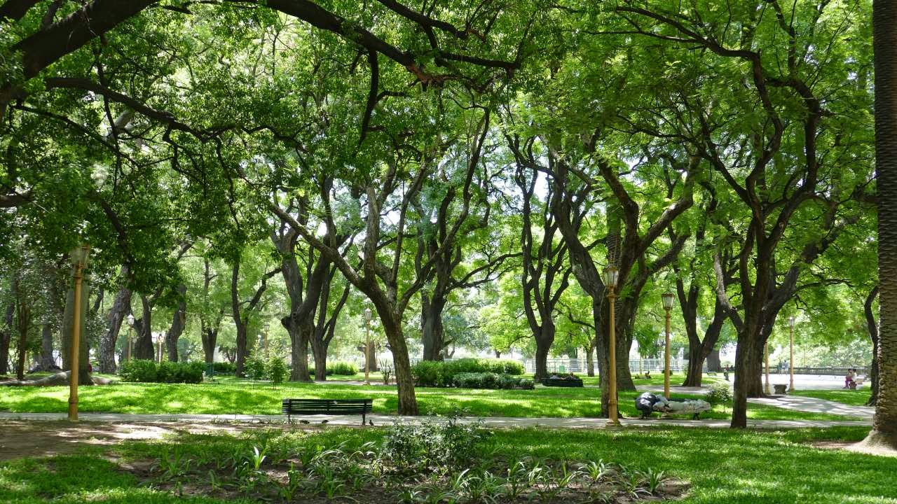 Buenos Aires - schöne Parkanlagen und Grünflächen