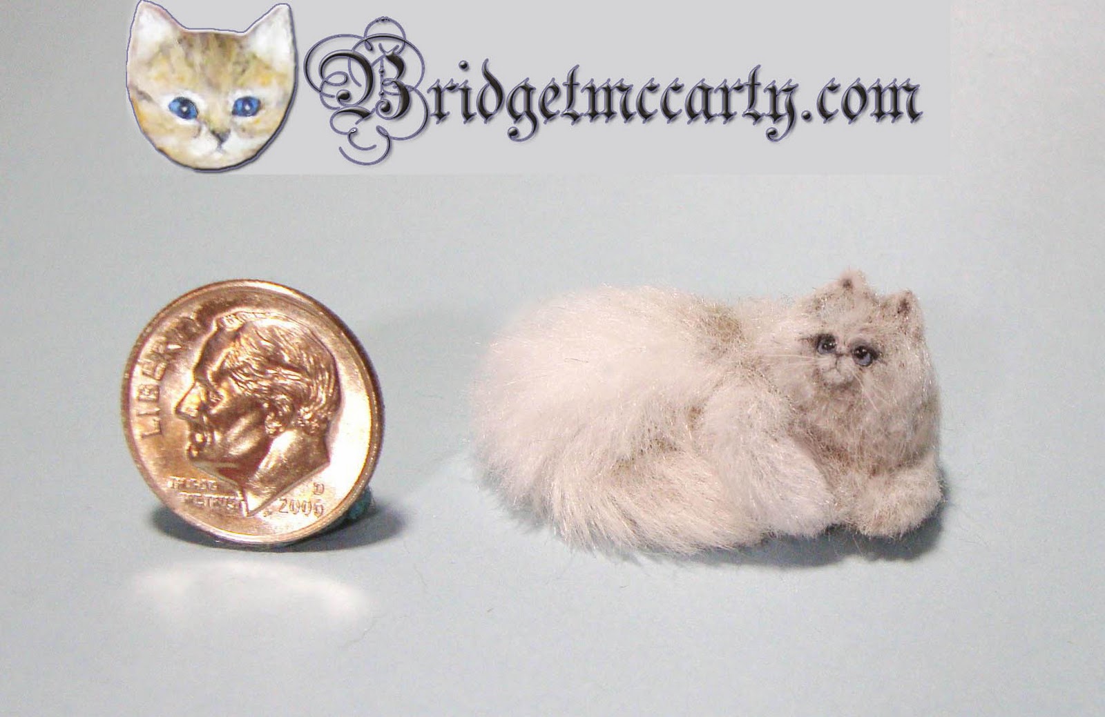 miniature himalayan cat